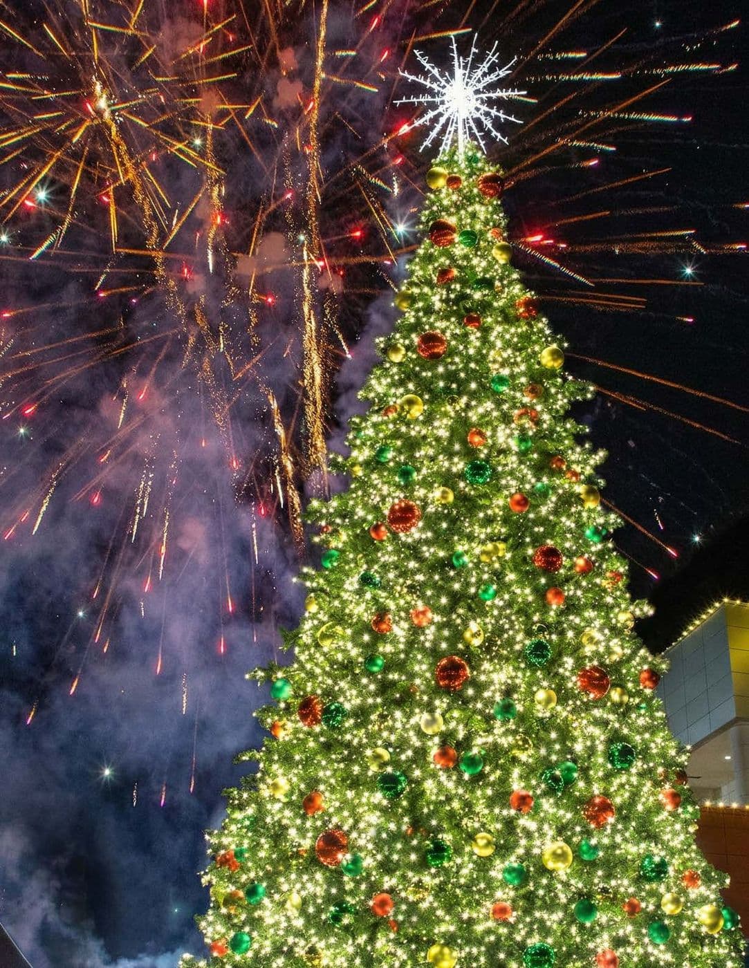 Tree-lighting night